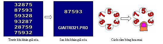 NTT2